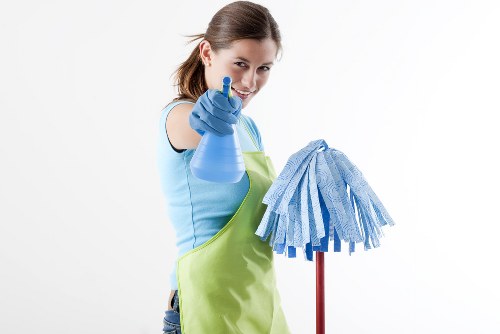 Professional carpet cleaning in a Hither Green home