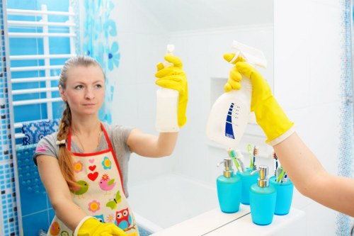 Professional carpet cleaning in a Hither Green home