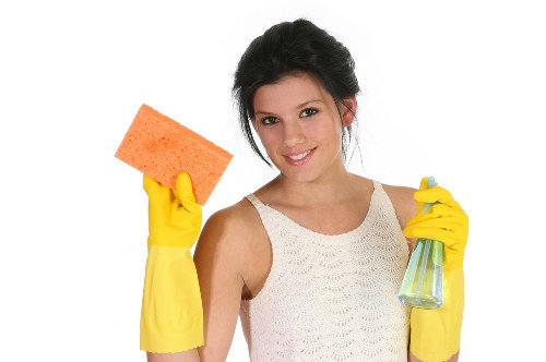 Supplier due diligence and monitoring in the carpet cleaning supply chain