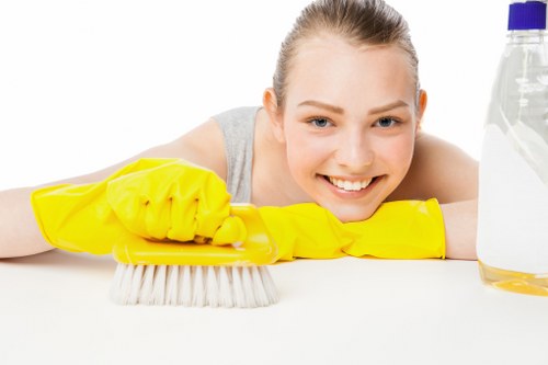 Deep cleaning equipment used for carpet cleaning in Hither Green