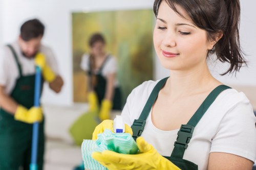 Seasonal carpet cleaning service for Hither Green properties