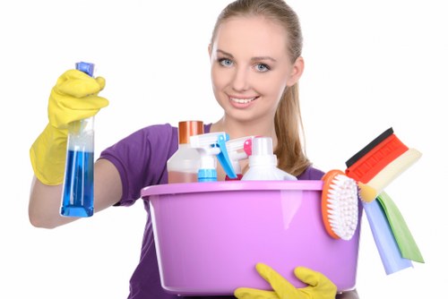 Professional carpet and upholstery stain removal in Hither Green