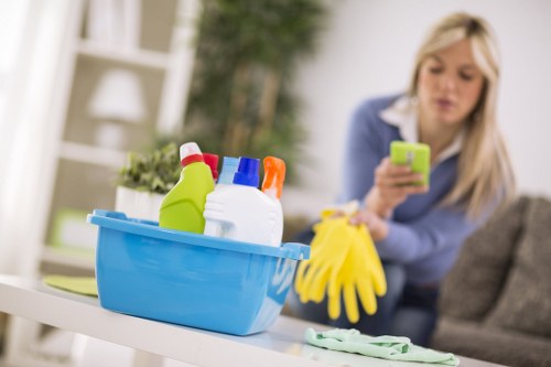 Professional pet stain treatment on upholstery in Hither Green