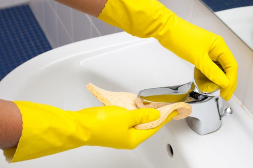 Deep cleaning equipment for pet stain odour removal in a Hither Green home