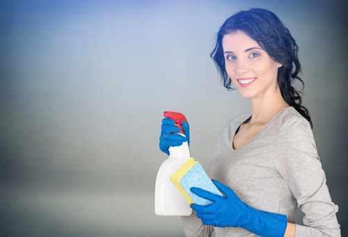 Stain removal during carpet cleaning in Hither Green